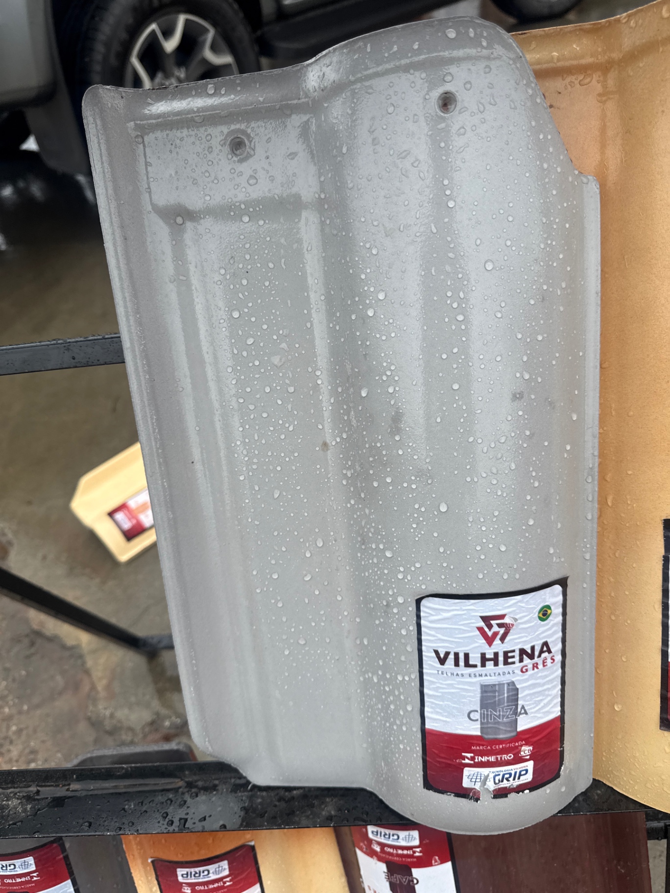 Vilhena Cinza
